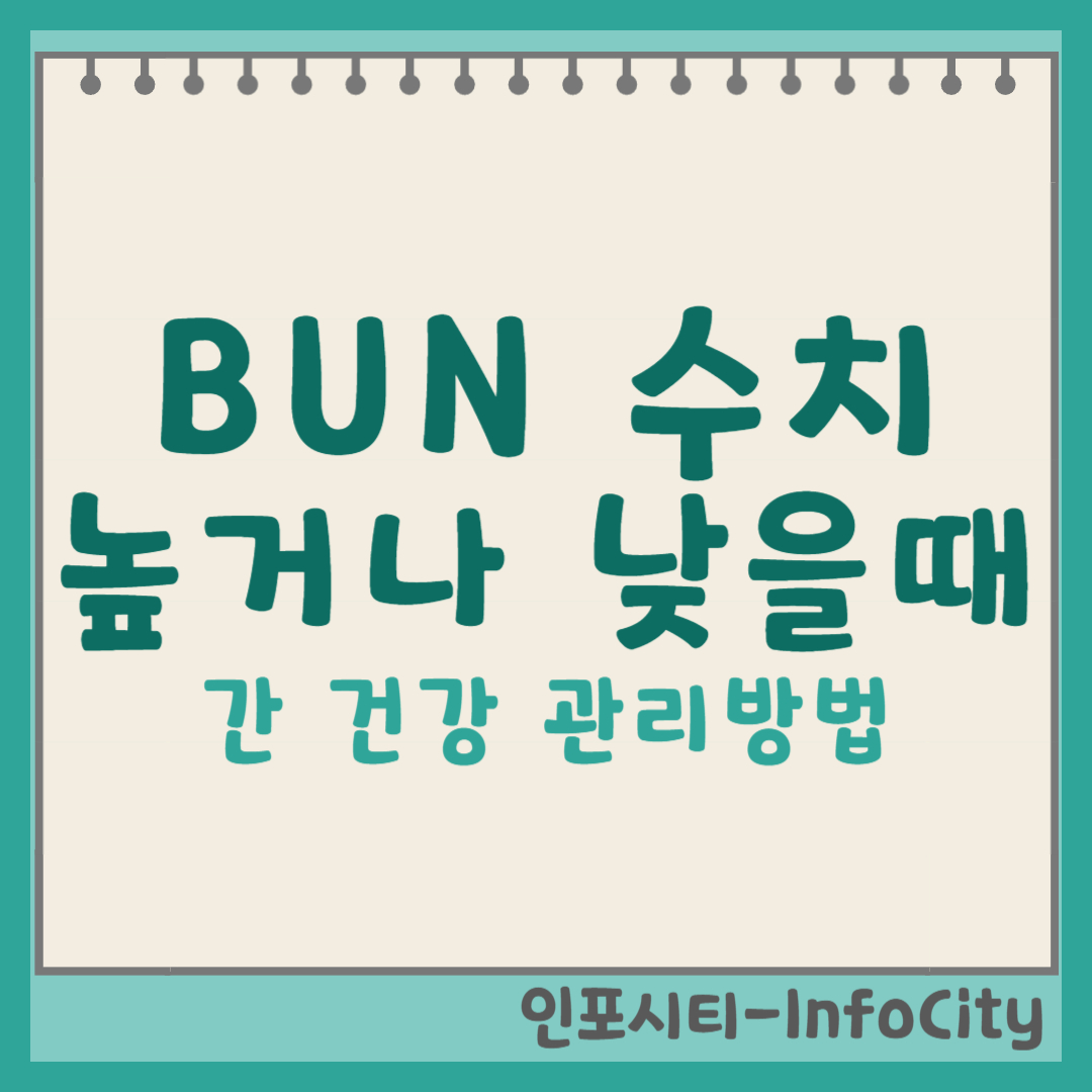 BUN 수치: 정상 범위, 높거나 낮을 때의 의미, 그리고 관리 방법 썸네일