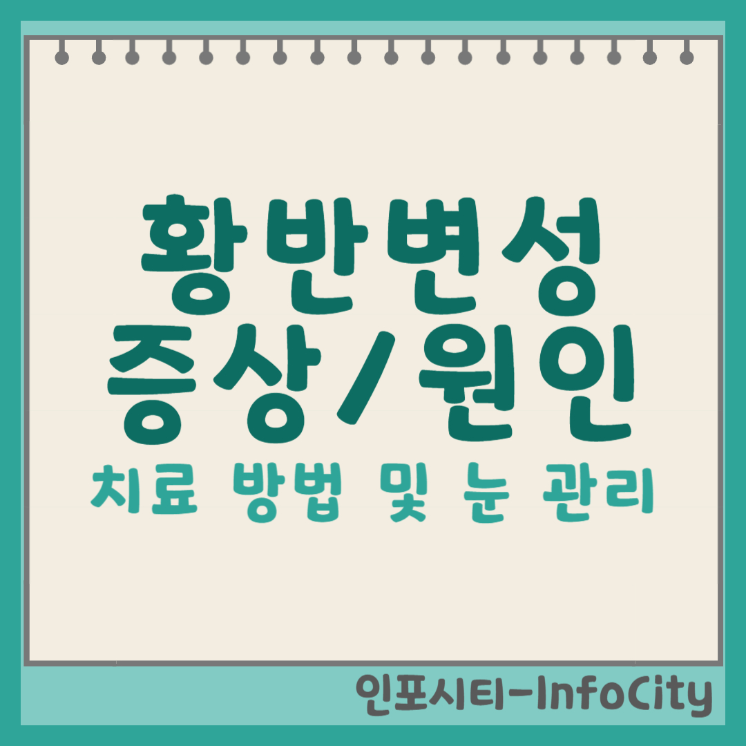 황반변성: 증상, 원인, 치료 그리고 눈 건강 관리법 썸네일