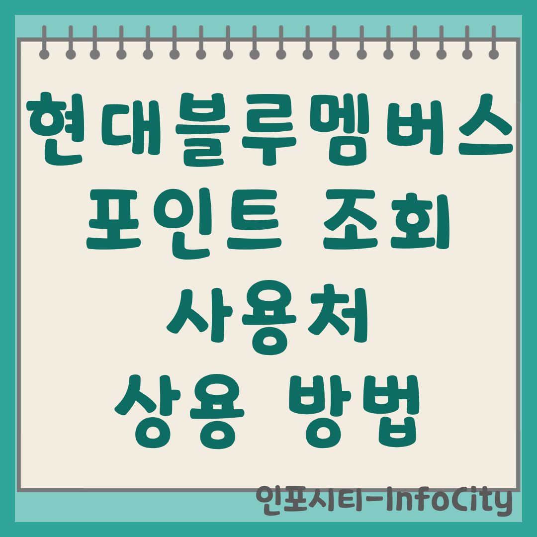 현대 블루멤버스 포인트 조회, 사용처, 사용 방법 총정리 썸네일