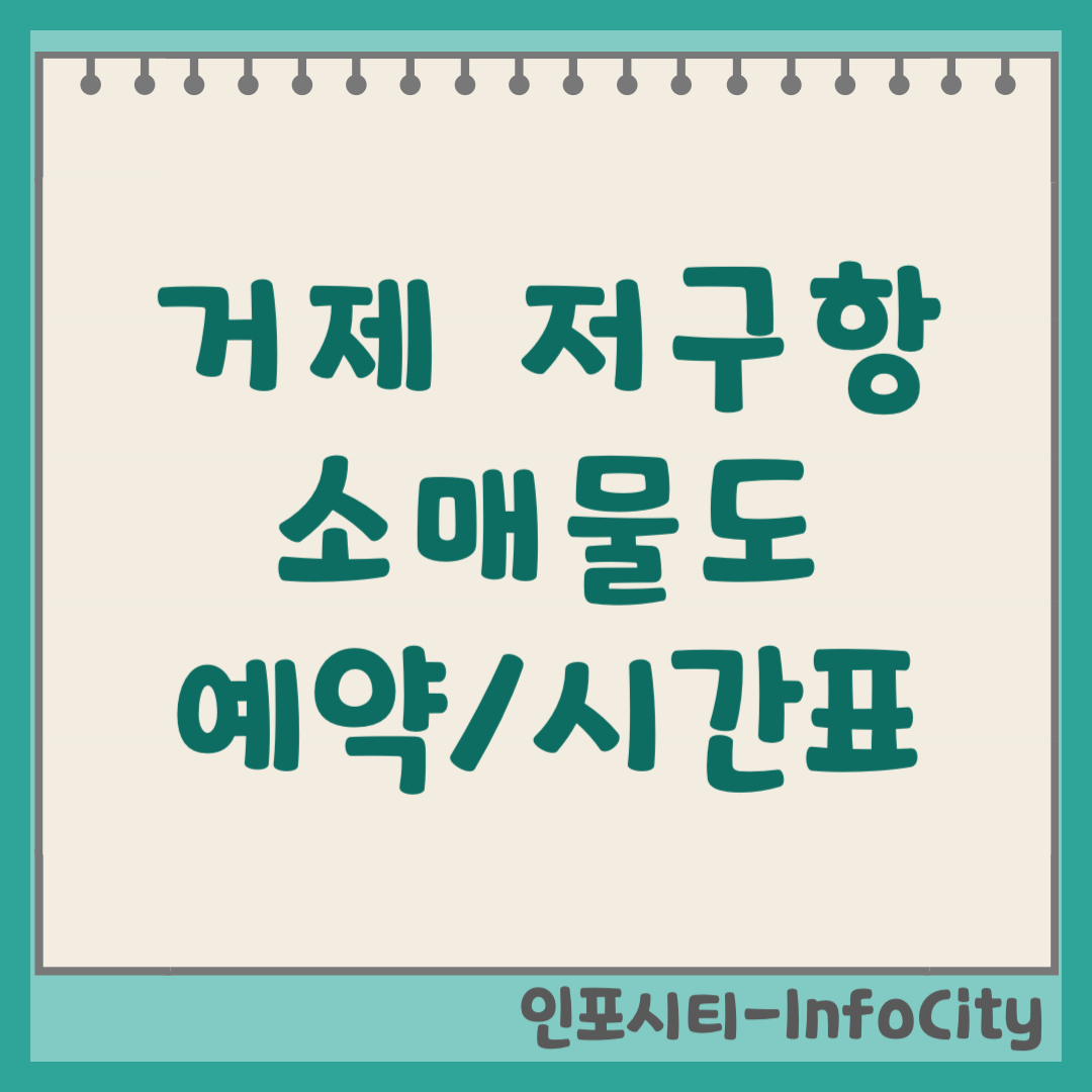 거제 저구항 소매물도 배편 예약 방법 시간표 요금 차량선적 총정리 2026