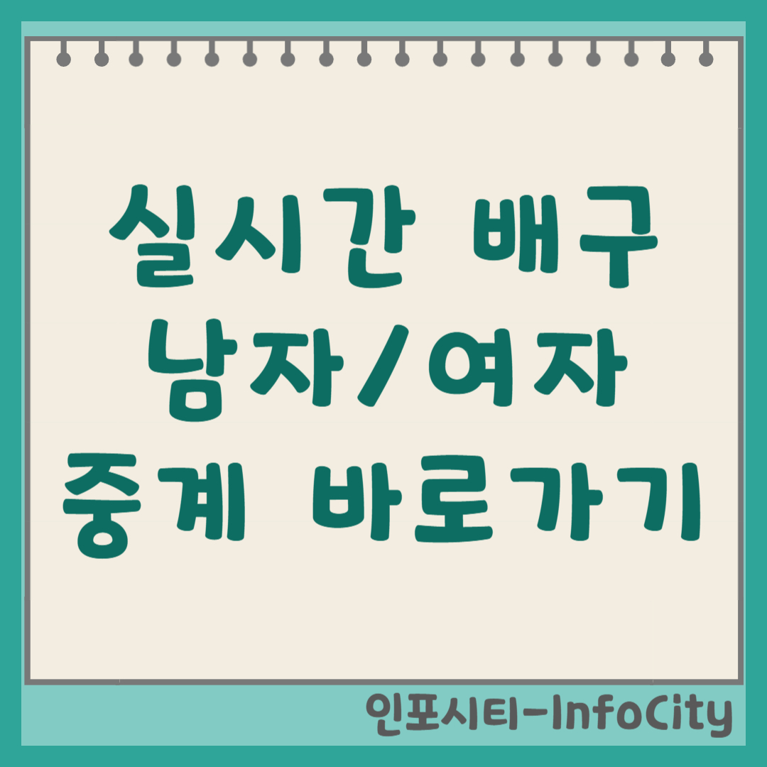 남자/여자 배구 실시간 중계 채널 및 온라인 시청 방법 (V-리그 기준)