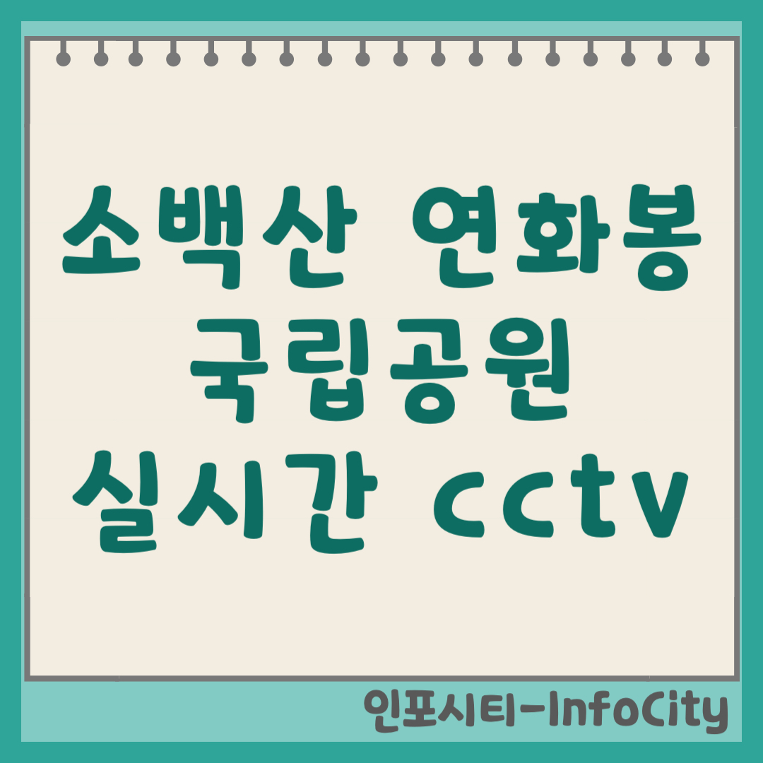 소백산 국립공원 연화봉 CCTV 실시간 영상보기 및 날씨 확인 (2026)