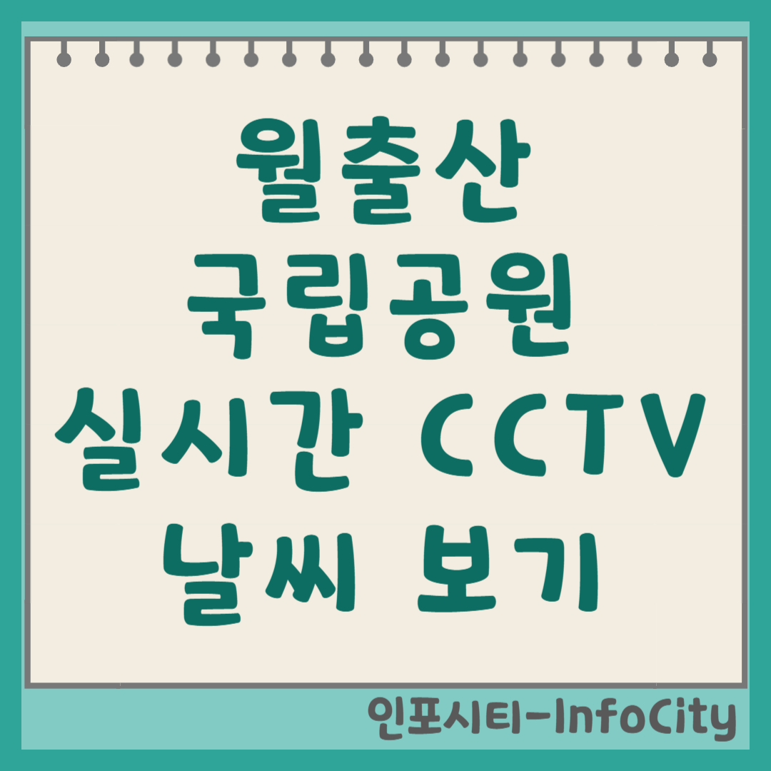 월출산 국립공원 실시간 CCTV 보는 법 날씨 보기