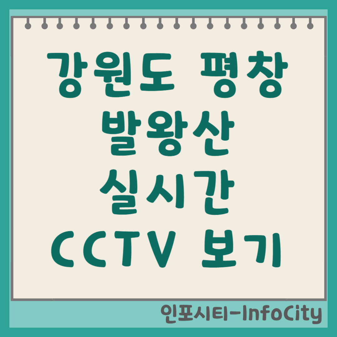 강원도 평창 발왕산 날씨 및 실시간 CCTV 보러가기 케이블카