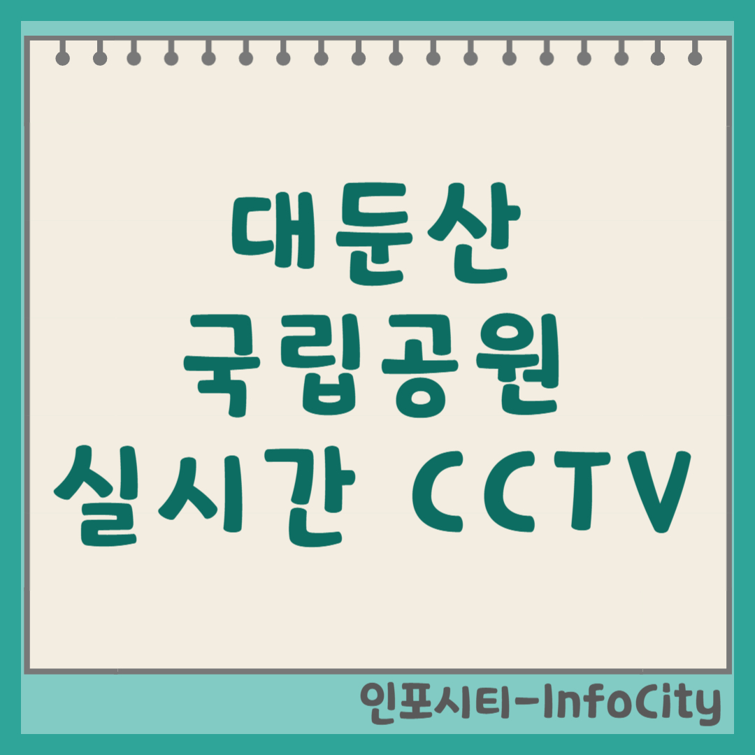 대둔산 국립공원 도립공원 실시간 CCTV 보는 법 날씨 보기