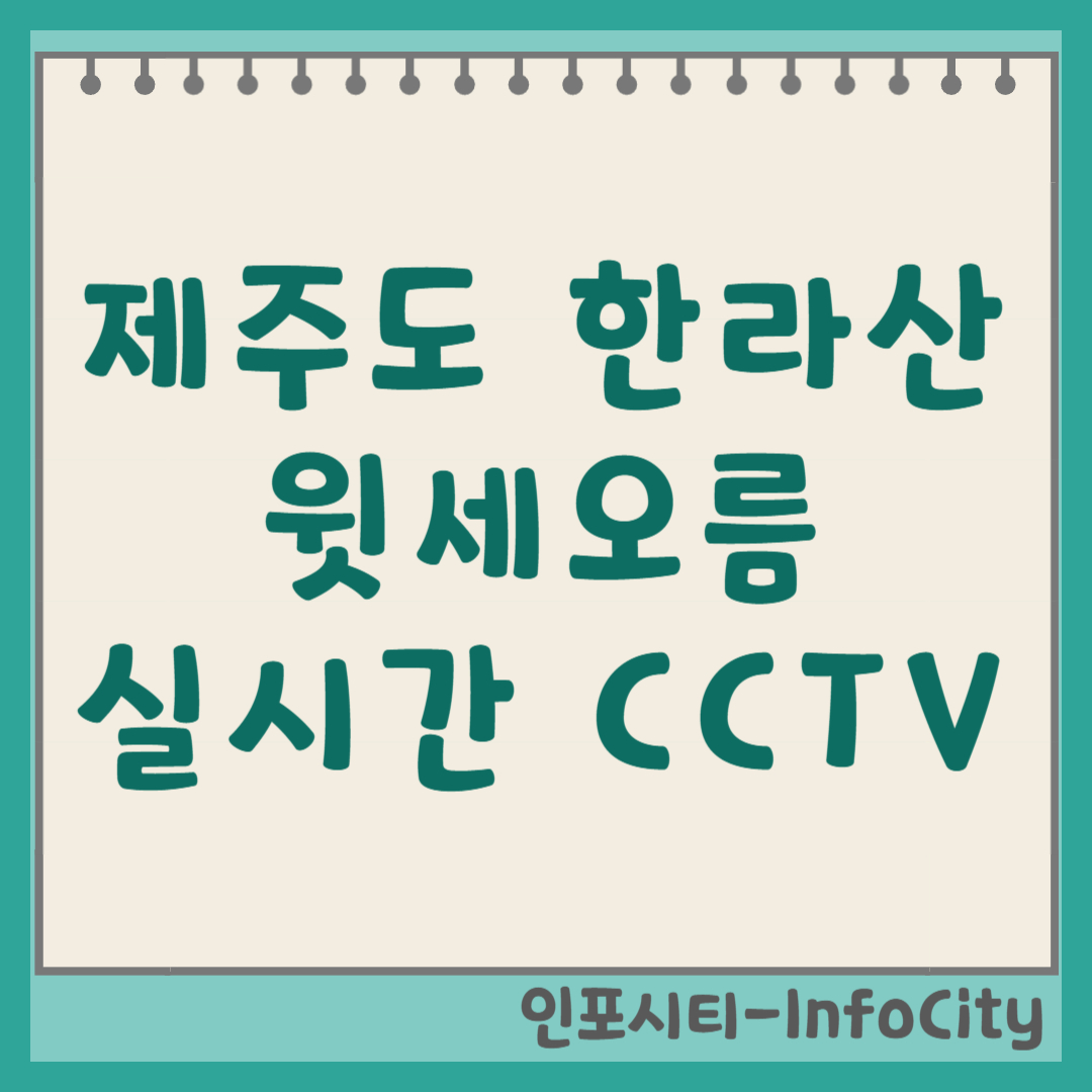 제주도 한라산 윗세오름 실시간 CCTV 및 날씨 보는 법