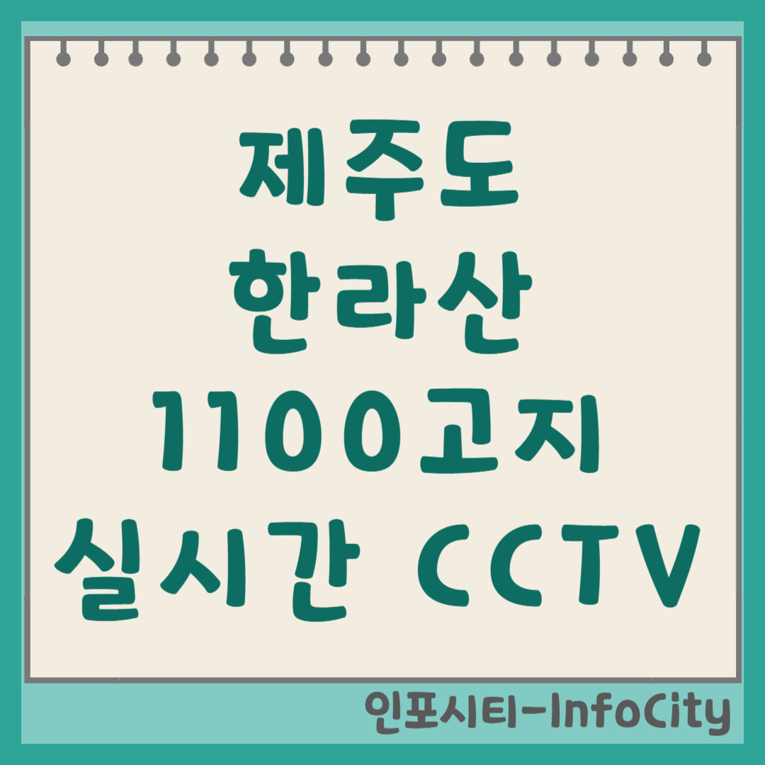 제주 한라산 1100고지 실시간 CCTV 및 날씨 보는 법