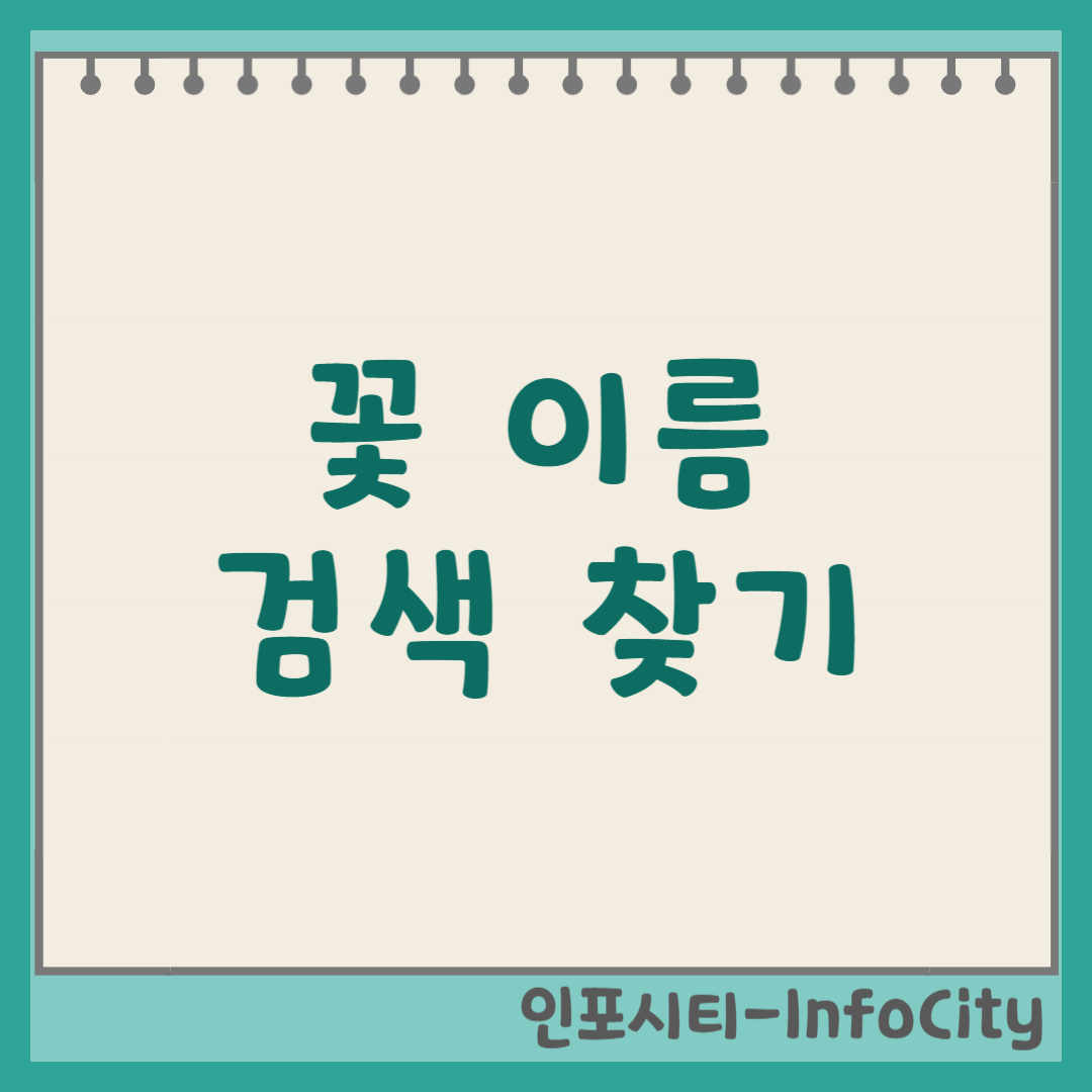 꽃 이름 찾기 검색 및 스마트폰 카메라로 꽃 검색 방법 봄 여름 가을 계절별